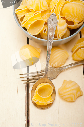 Image of Italian snail lumaconi pasta 