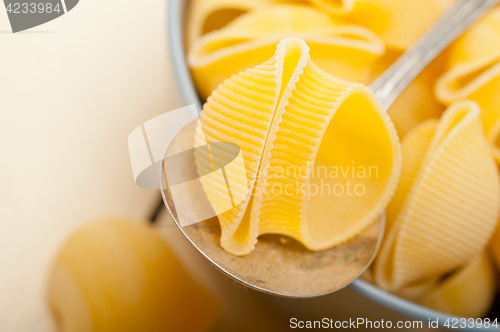 Image of Italian snail lumaconi pasta 