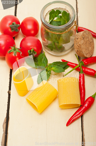 Image of Italian pasta paccheri with tomato mint and chili pepper