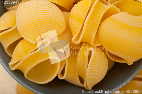 Image of Italian snail lumaconi pasta 