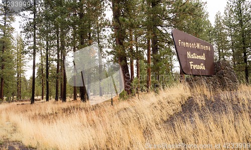 Image of Fremont-Winema National Forests Oregon State United States