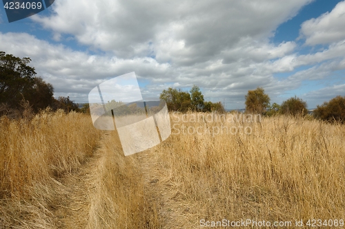 Image of Dry autumn meadow