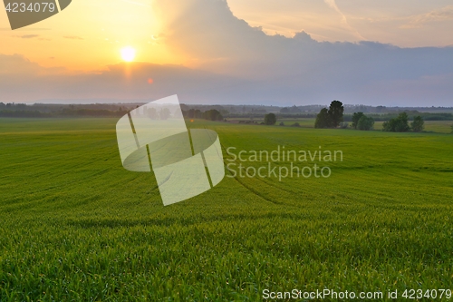 Image of Agircutural landscape with clouds