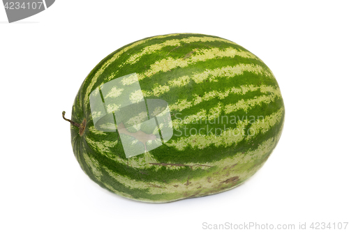 Image of Big ripe watermelon on a white background