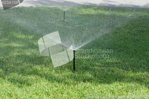 Image of Sprinkler spraying stream of water on lush green grass