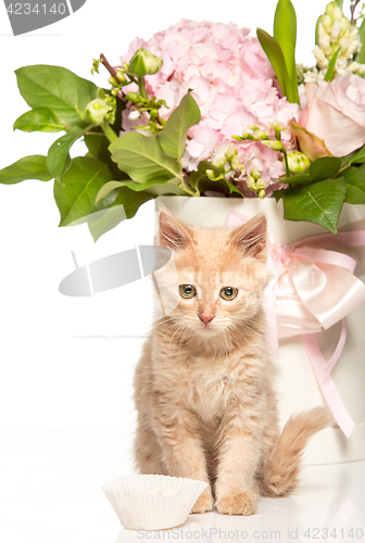 Image of The cat on white background with flowers