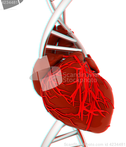 Image of DNA and heart. 3d illustration. Anaglyph. View with red/cyan gla