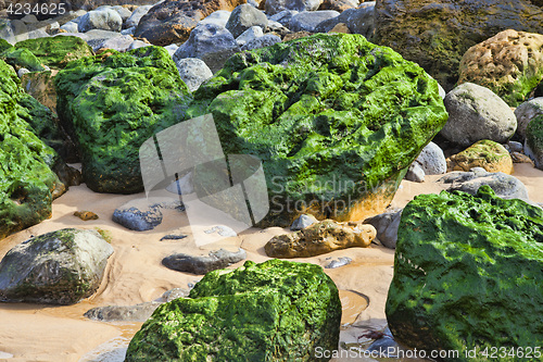 Image of Green stones on the seashore