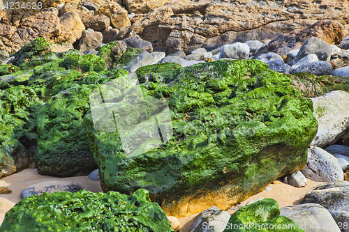Image of Green stones on the seashore
