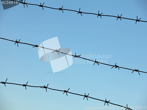 Image of  sharp barbed wire fence