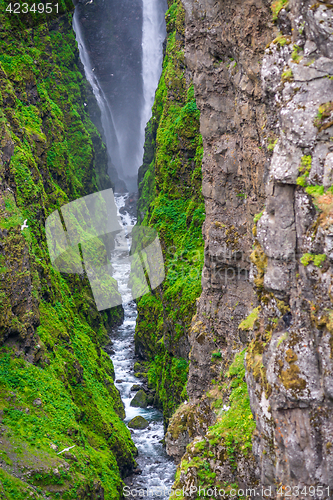 Image of Glymur waterfall during summer in Iceland