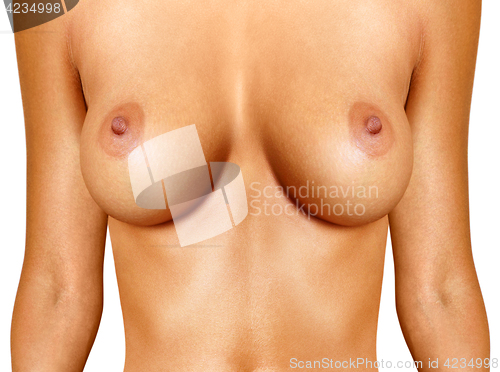 Image of beautiful female breast on white background