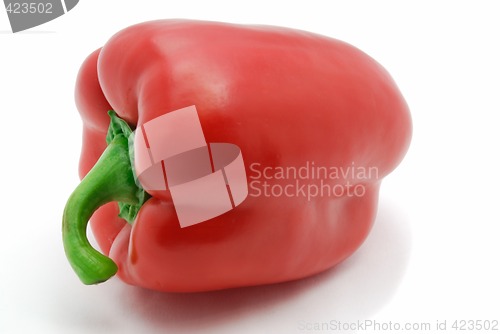 Image of Red paprika