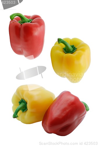 Image of Paprika