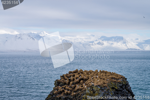 Image of Snaefellsnes peninsula landscape, Iceland