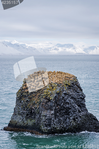 Image of Snaefellsnes peninsula landscape, Iceland