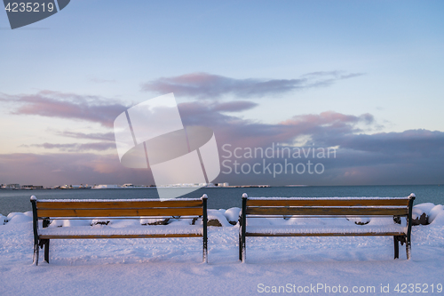 Image of Benches in Reykjavik during winter