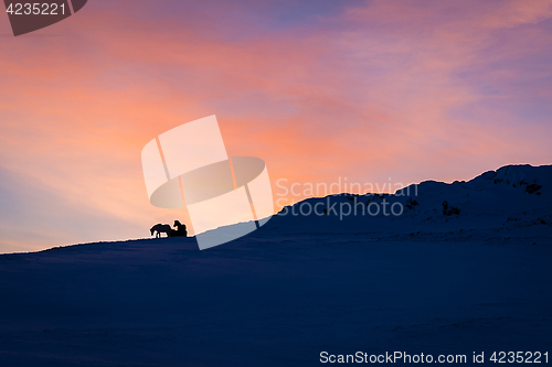 Image of Horses against the sunrise in Iceland