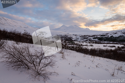 Image of Winter landscape near Glymur waterfall, Iceland