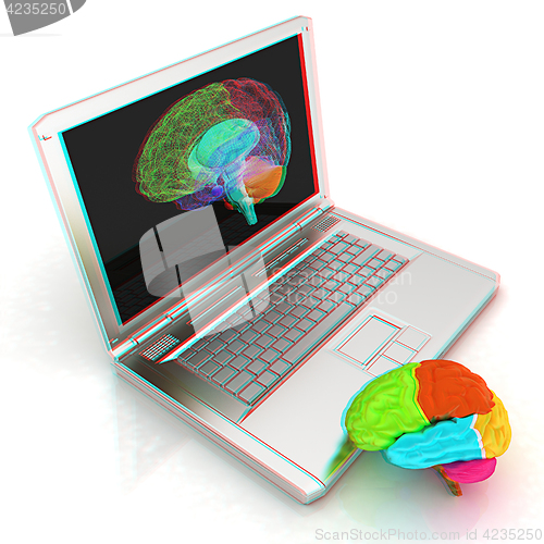 Image of creative three-dimensional model of real human brain and scan on