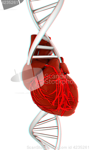 Image of DNA and heart. 3d illustration. Anaglyph. View with red/cyan gla