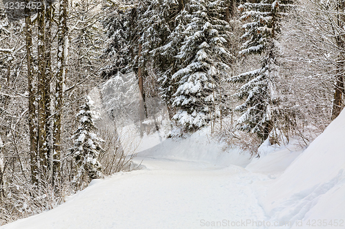 Image of Winter Footpath