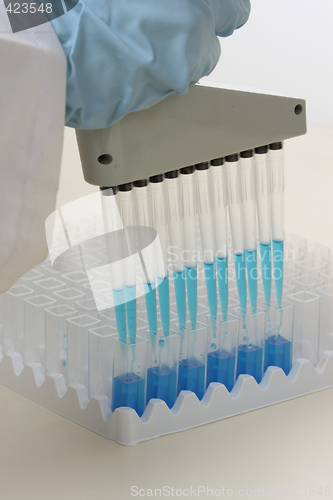 Image of Laboratory worker using pipette.