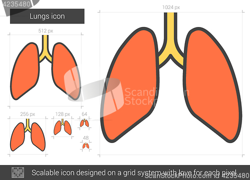 Image of Lungs line icon.