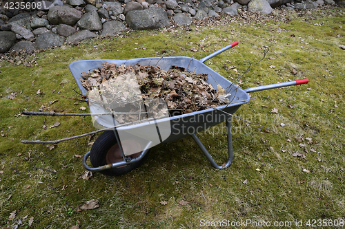 Image of garden wheelbarrow with leaves