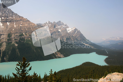 Image of Peyto Lake