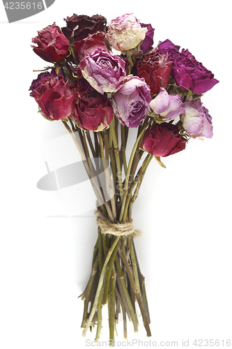Image of bouquet of dried roses on a white