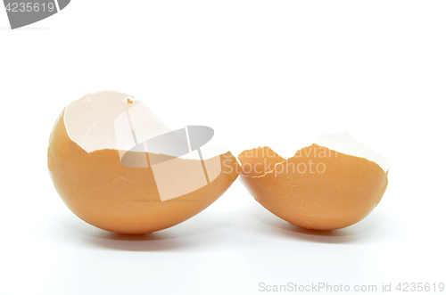 Image of Broken egg shell