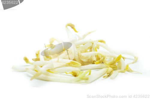 Image of Pile of bean sprouts