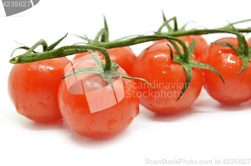 Image of Red cherry tomato