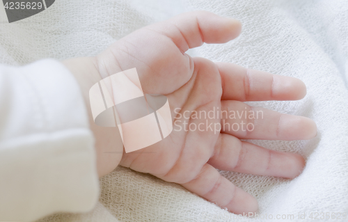 Image of Cute Baby Hand