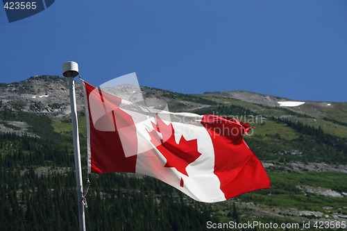 Image of Flag of Canada