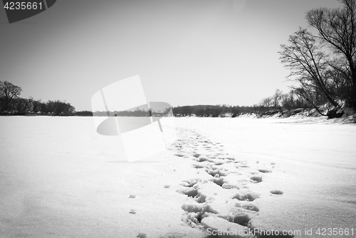 Image of footprints in the snow