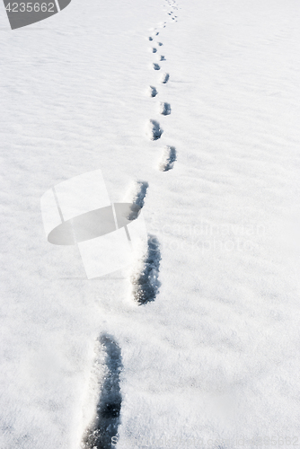 Image of footprints in the snow