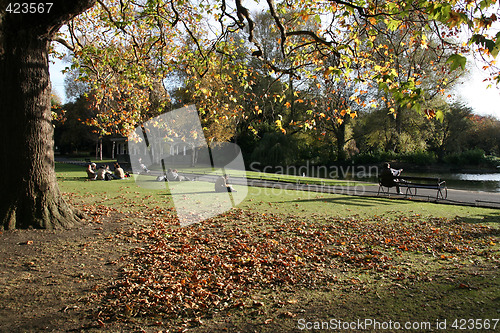 Image of Autumn in park