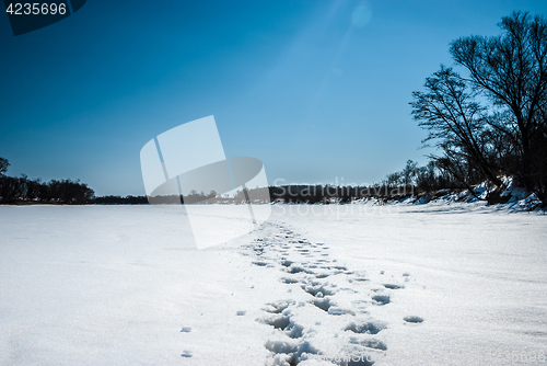 Image of footprints in the snow