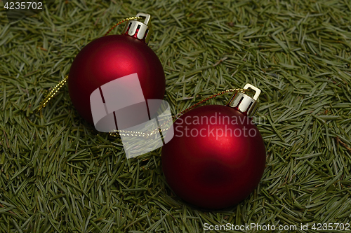 Image of two Christmas balls on green fur-tree needles