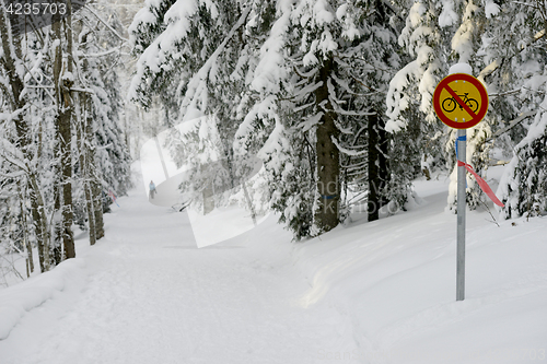 Image of sign bicycle traffic is prohibited in the winter forest