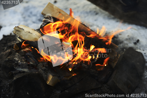 Image of closeup of burning wood in fire