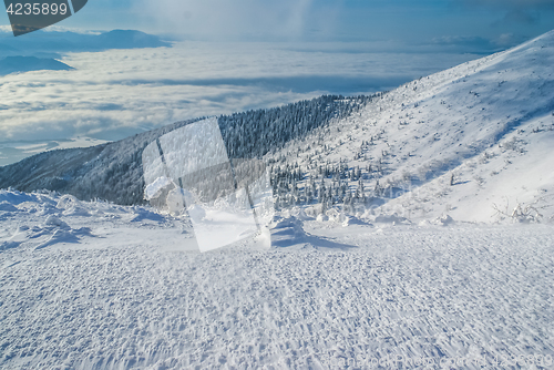 Image of Morning in High Tatras