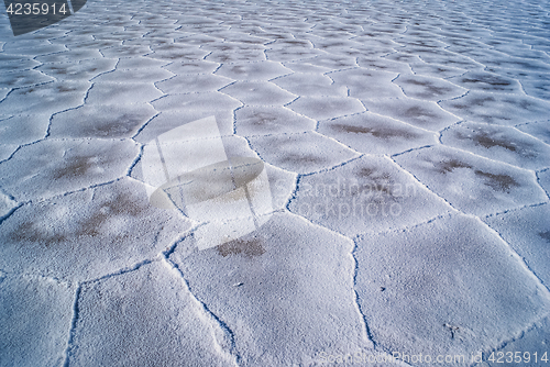 Image of Salt on ground