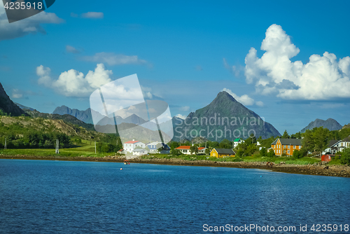 Image of Houses in greenery