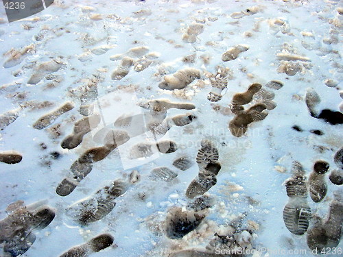 Image of Snowprints
