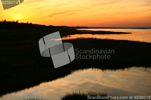 Image of Summer in Djursland - Denmark