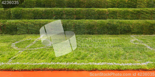 Image of Artificial Turf