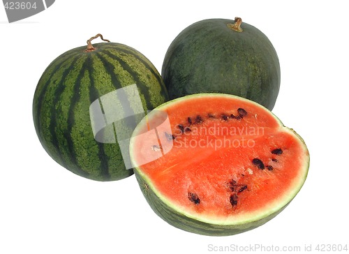 Image of Tasty ripe water-melons